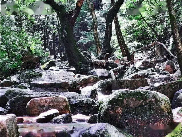 小犀牛救援